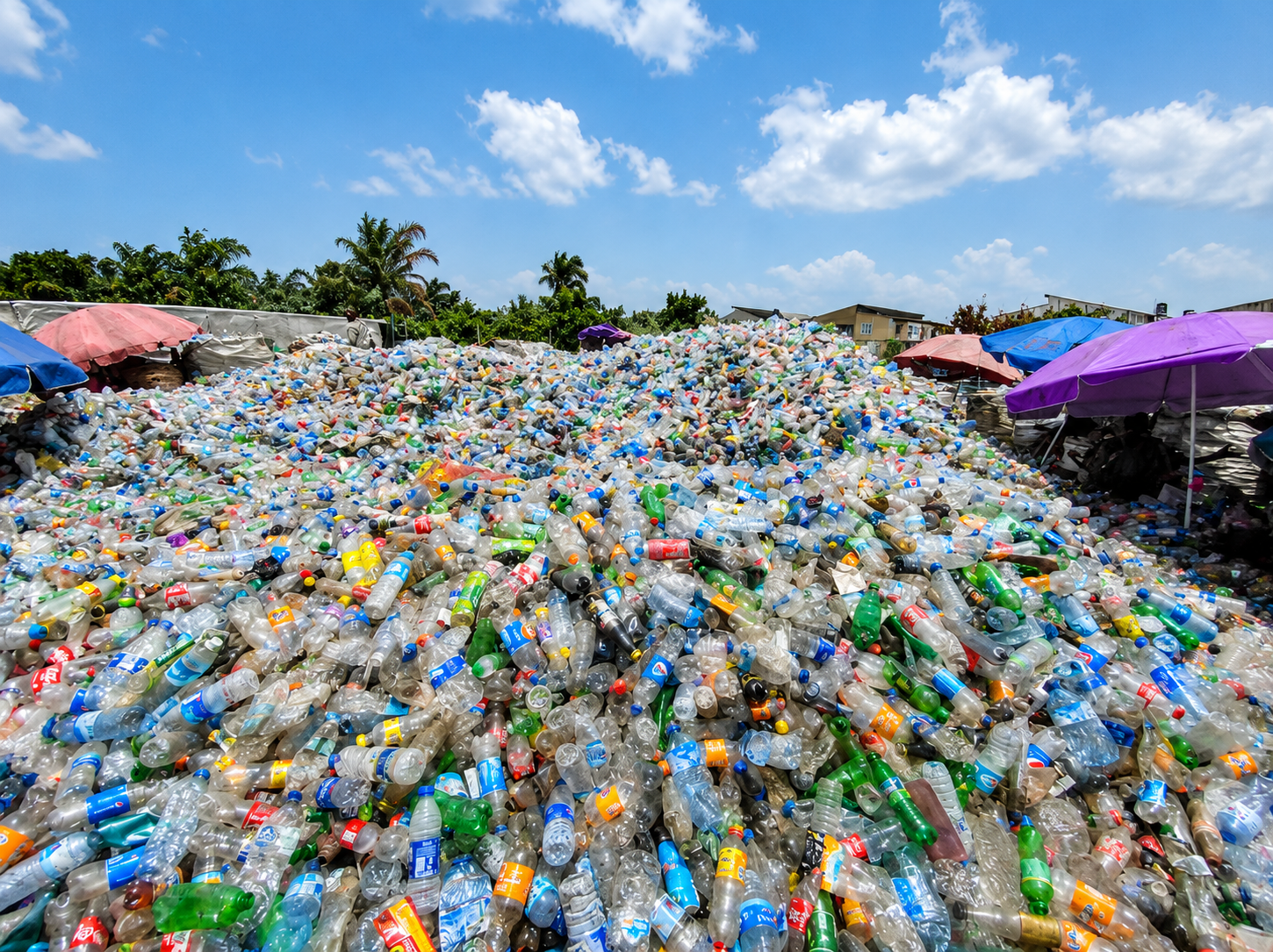 Post-consumer PET bottles sourced through our collection and aggregation network.