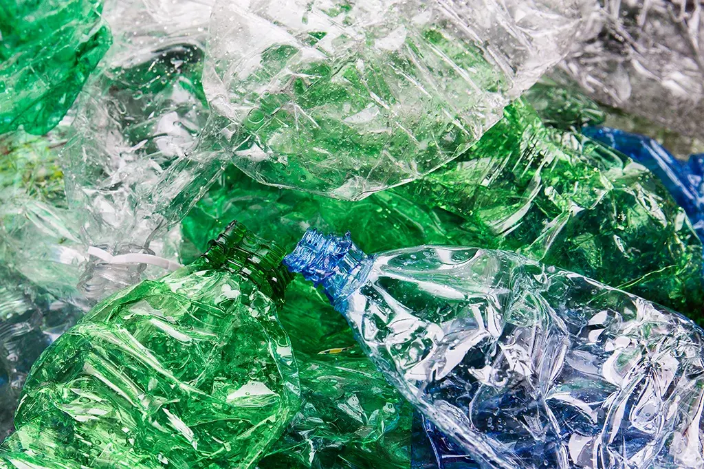 Sorted green PET bottles collected from post-consumer sources.